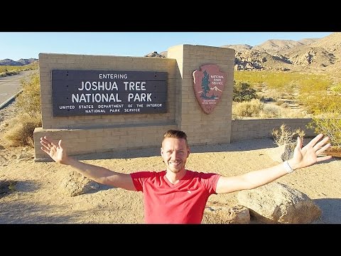 Joshua Tree National Park von Yucca, Kakteen und Wüste | GlobalTraveler.TV