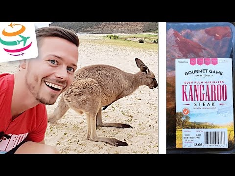 Wie schmeckt Känguru? Kangaroo Fleisch zubereiten in Australien braten grillen | GlobalTraveler.TV