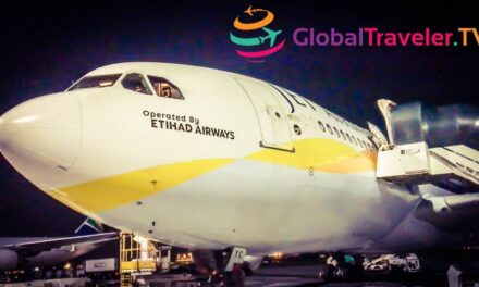 Jet Airways operated by Etihad A330-200 JNB-AUH