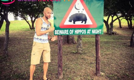 St. Lucia iSimangaliso Wetland Park City of Hippos