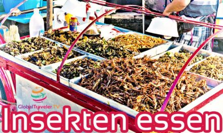 Insekten essen in Bangkok Thailand Street Food