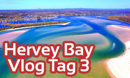 Kein Whale Watching in Hervey Bay Queensland