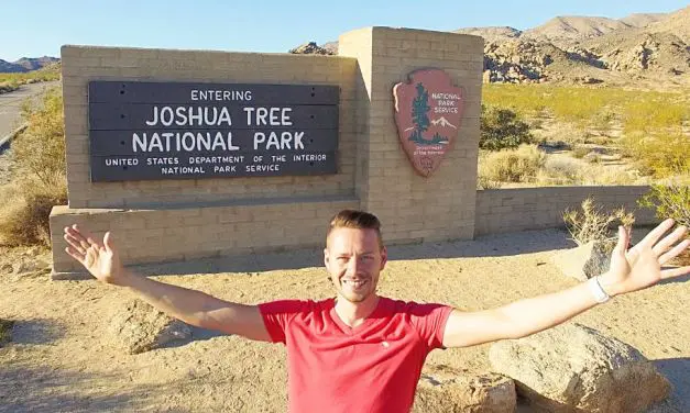 Joshua Tree National Park von Jucca, Kakteen & Wüste