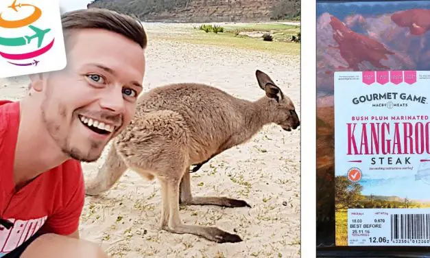 Wie schmeckt Känguru? Kangaroo Fleisch zubereiten in Australien