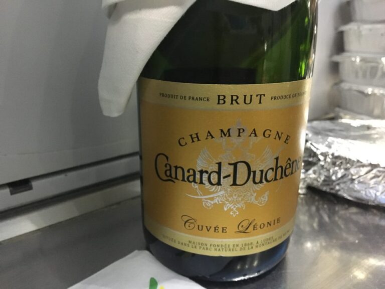 Ethiopian Airlines Business Class Boeing 787 Dreamliner - YourTravel.TV