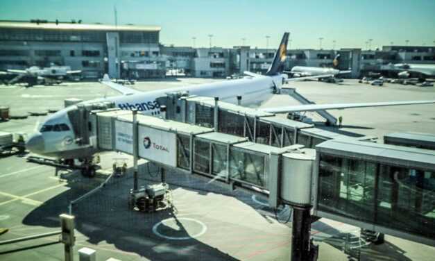 Lufthansa A330-300 Economy Class