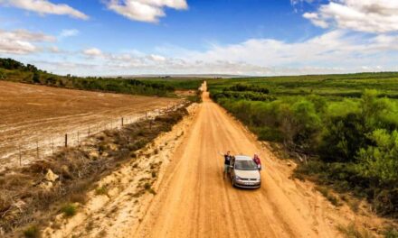 Johannesburg ab 384€ aus Deutschland