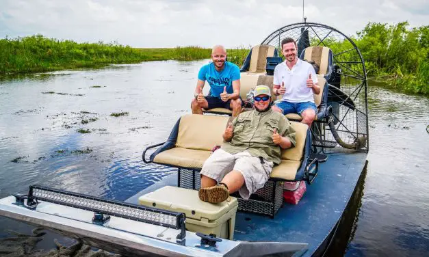 Alligatoren & Airboat in den Everglades am letzten Tag