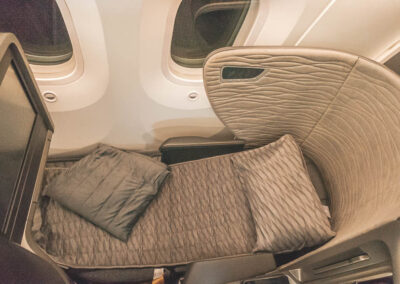 Turkish Airlines Business Class 787