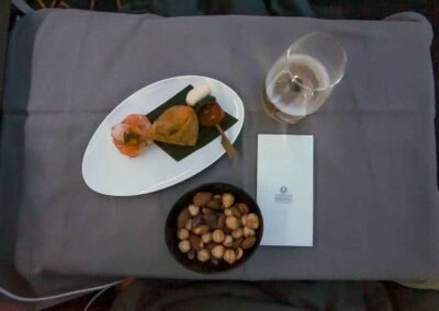 Turkish Airlines Business Class 777