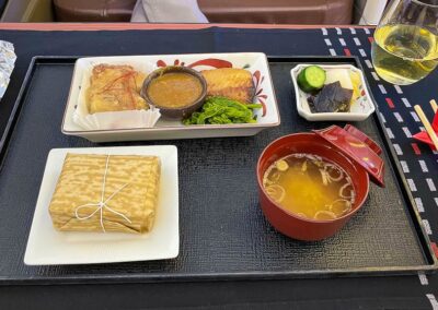 japan airlines business in first 5 Japan Airlines