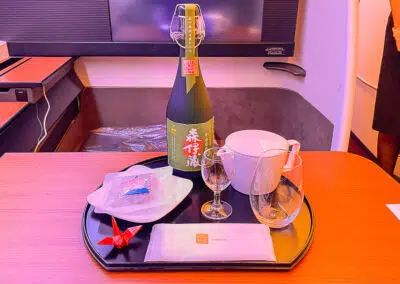Japan Airlines First Class